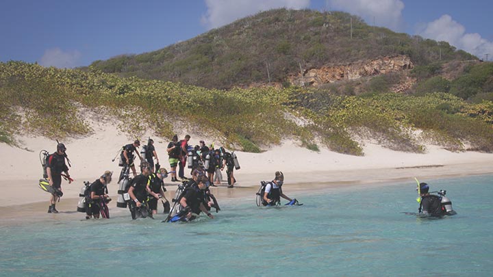 Thumbnail for Assistant Instructor