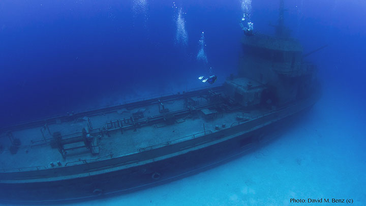 Thumbnail for Deep Diver