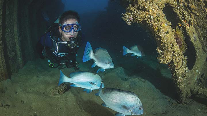 Thumbnail for Master Scuba Diver