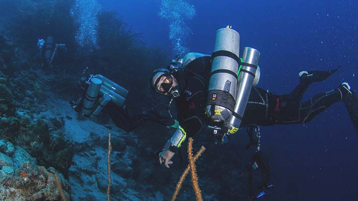 Thumbnail for Mixed Gas