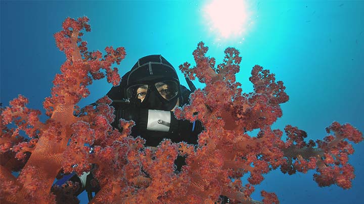 Thumbnail for Rebreather