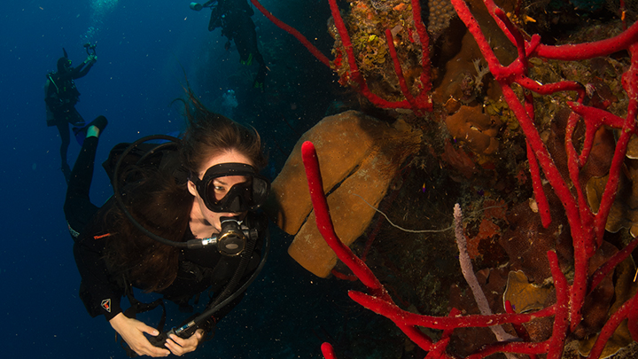 Thumbnail for Underwater Imaging